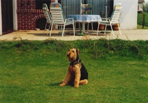 Elly (7)