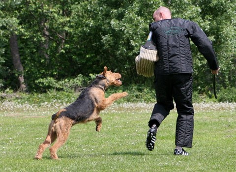 Ares